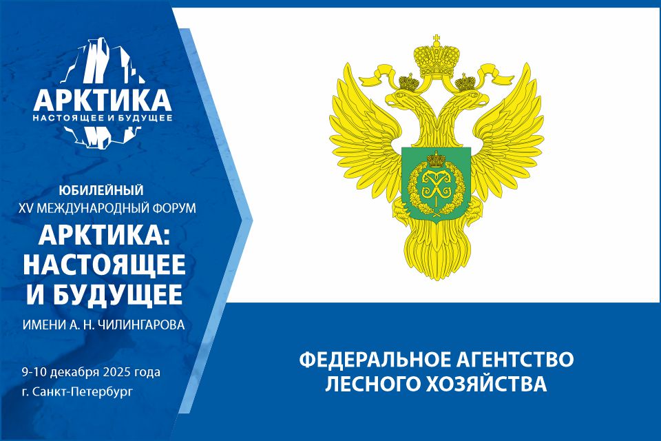 Как сохранять и восстанавливать лес в Арктике – расскажут представители Рослесхоза