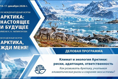 Экология Арктики: как развивать регион, не увеличивая цену ошибок