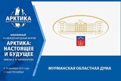 Энергетика для развития: Мурманская область поделится опытом по энергообеспечению инвестпроектов Арктики